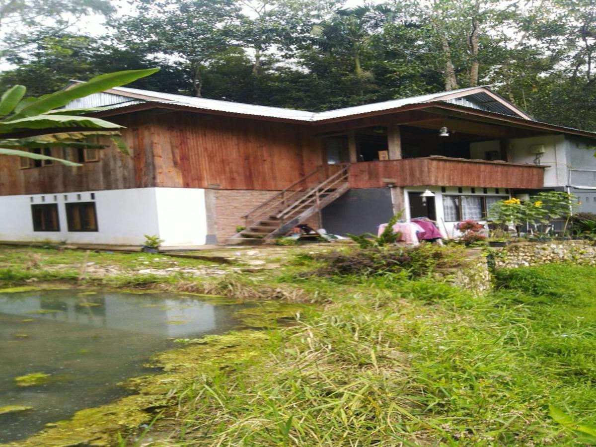 Wisma Papa Tia Toraja Tana Toraja Dış mekan fotoğraf