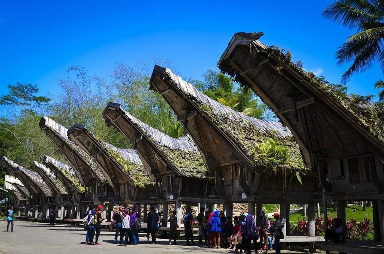 Wisma Papa Tia Toraja Tana Toraja Dış mekan fotoğraf